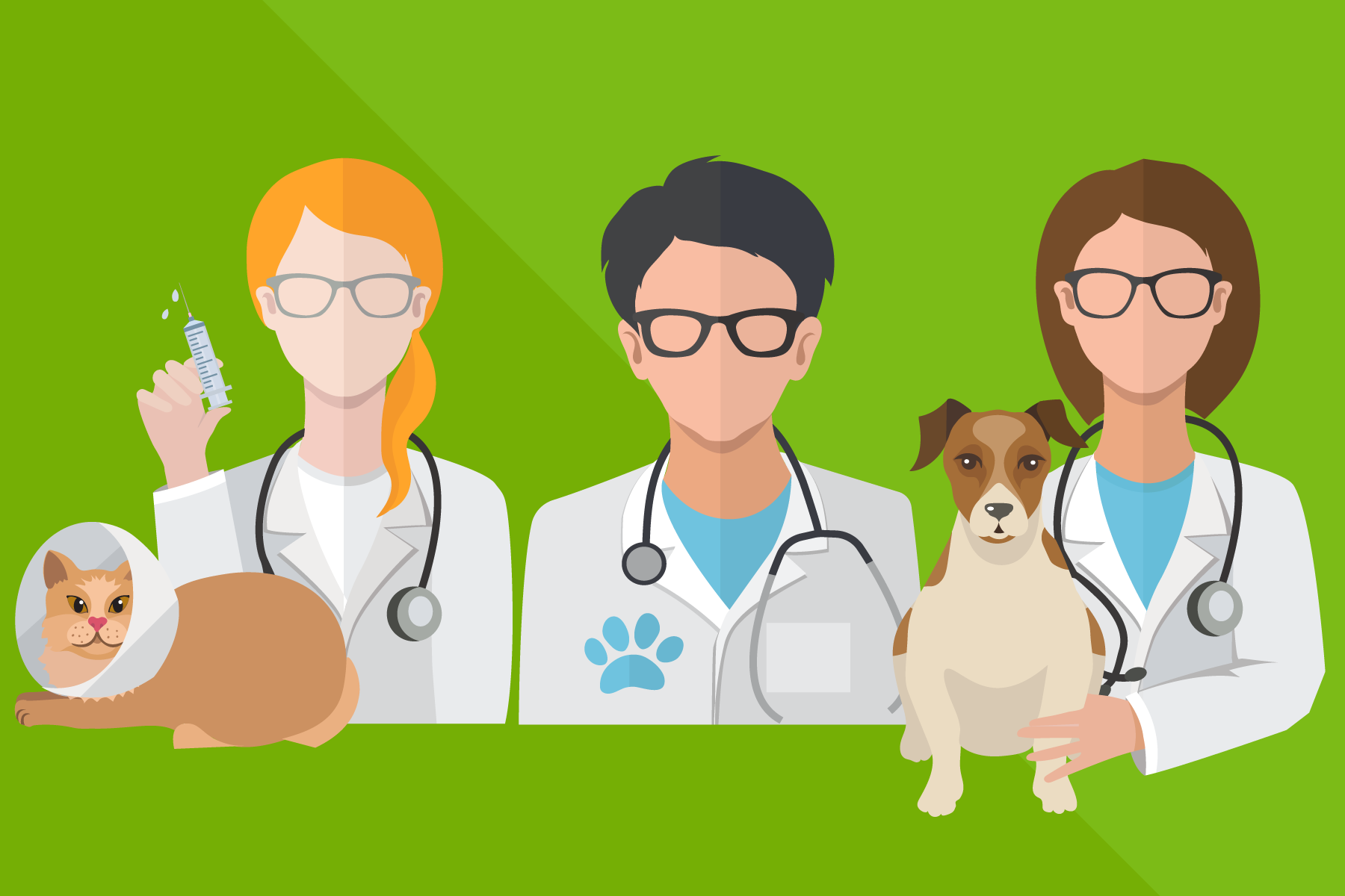 conseil de veterinaire