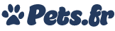 Accueil