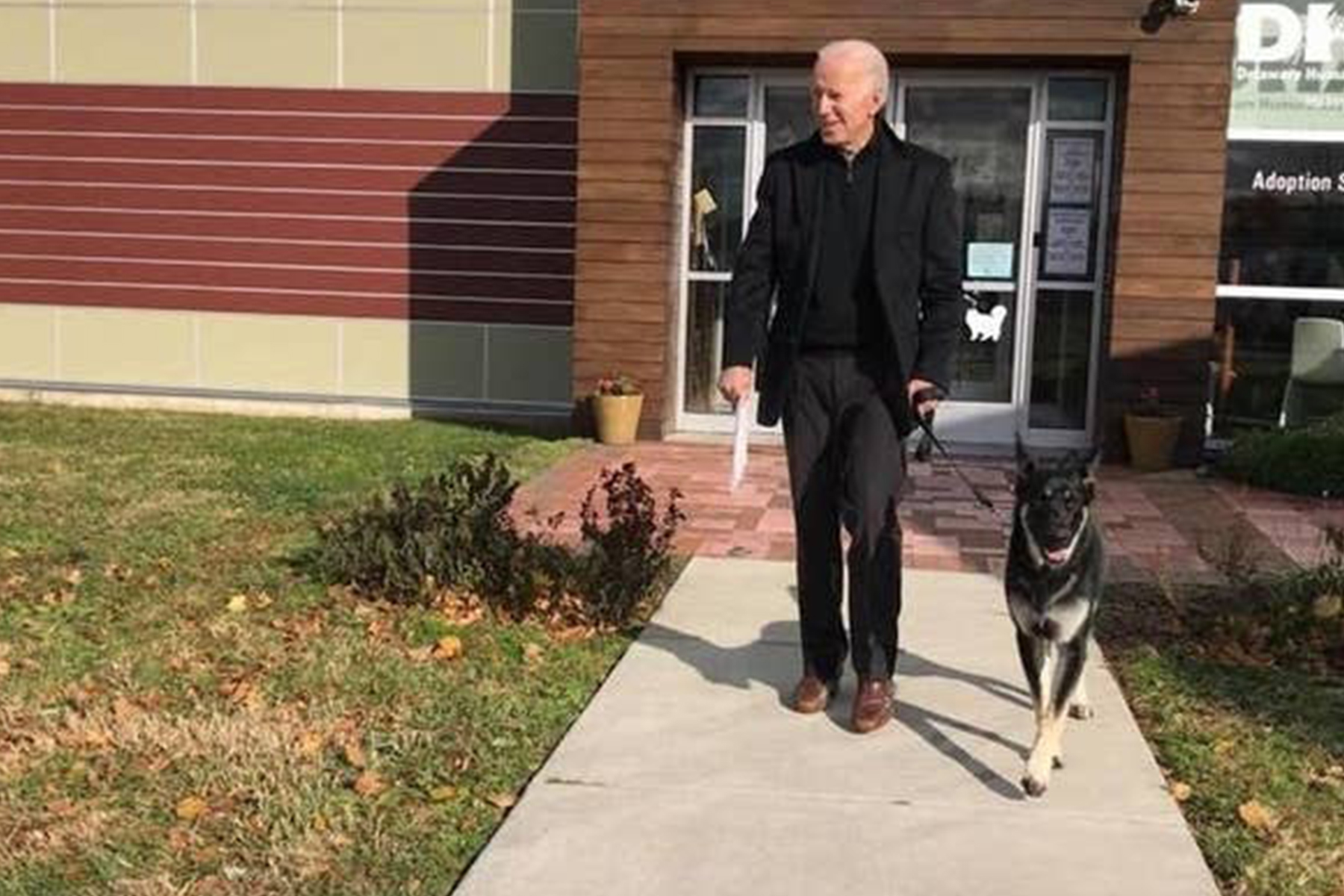 chien-joe_biden-adoption chien-joe_biden-adoption