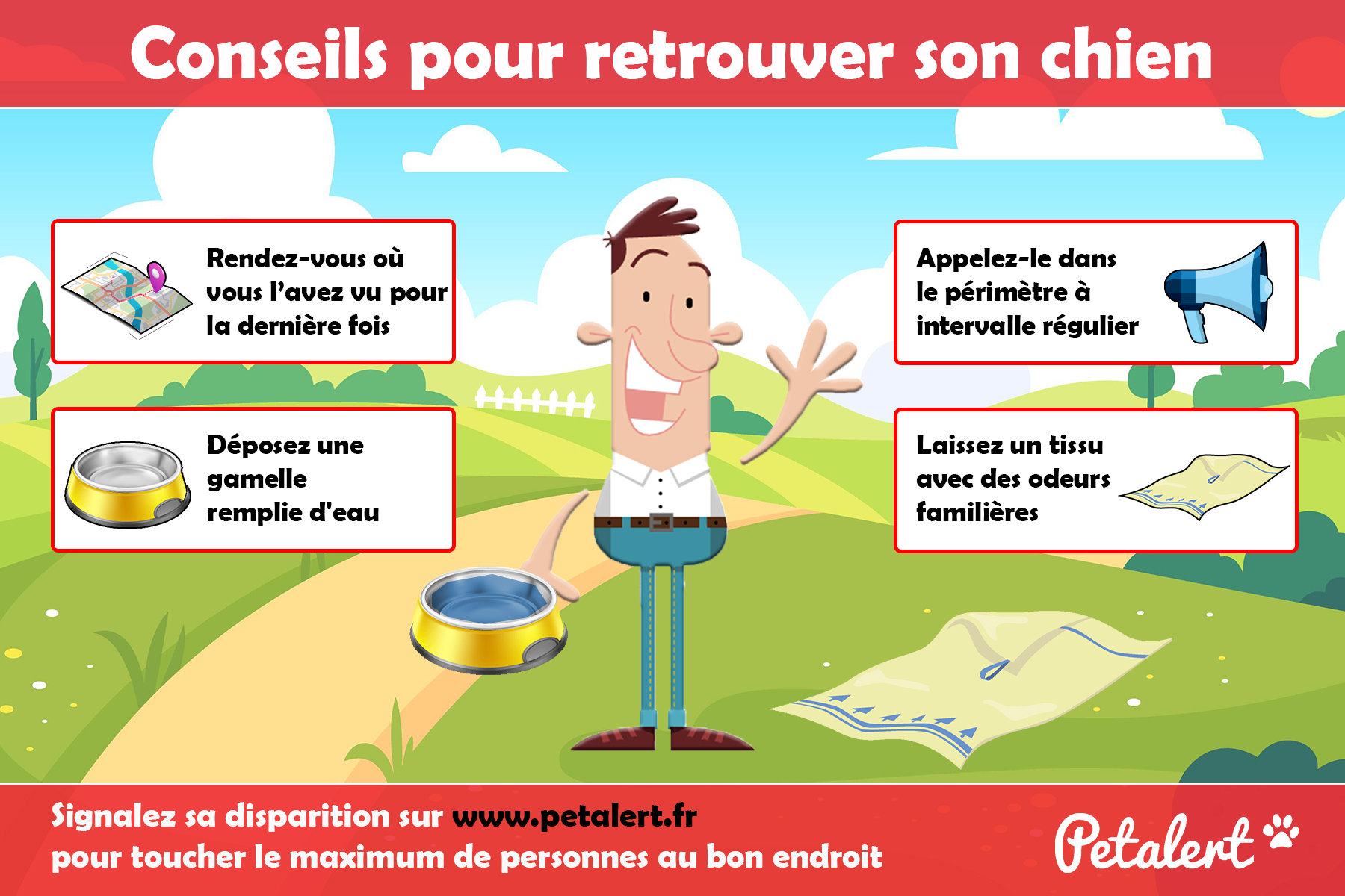 conseils chien perdu conseils chien perdu