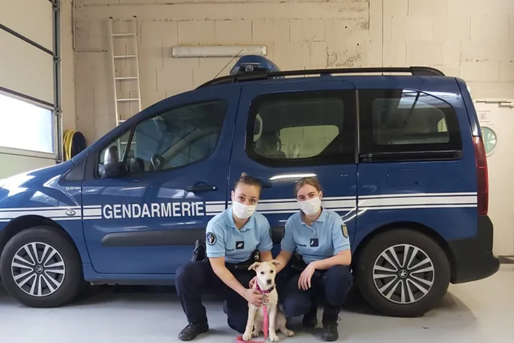 gendarmes-chien-vole gendarmes-chien-vole