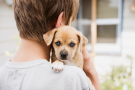 chiot dans les bras d'un garçon