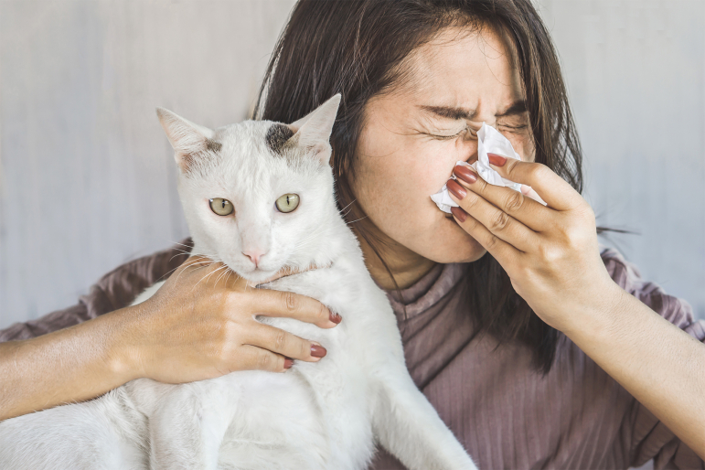 allergies-animaux-cohabitation