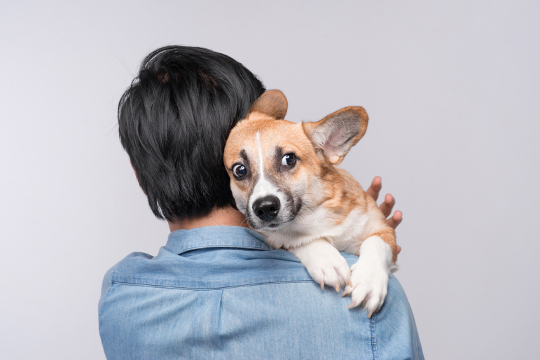 chien peur dans bras maître