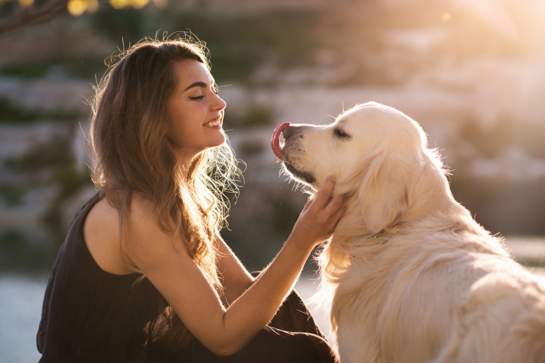 calin chien femme